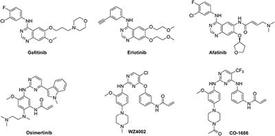 Design, Synthesis, and Evaluation of Ribose-Modified Anilinopyrimidine Derivatives as EGFR Tyrosine Kinase Inhibitors